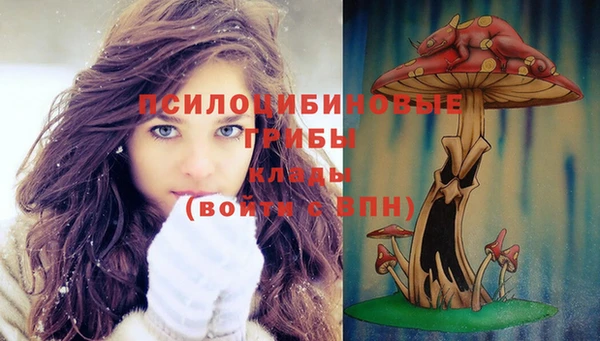 apvp Абаза