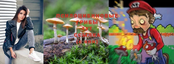 apvp Абаза