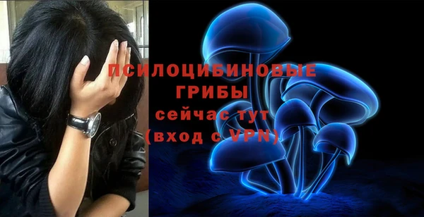 спайс Абинск
